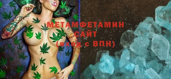 гидра Каменногорск