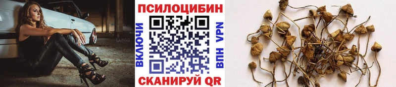Псилоцибиновые грибы Magic Shrooms  Катав-Ивановск 